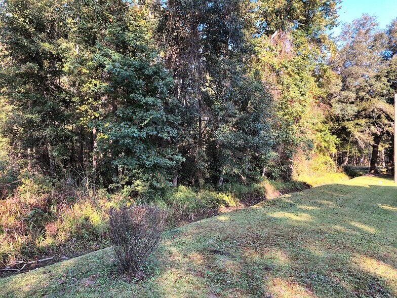 More Photos Of 0 Hwy 162, Hollywood Land For Sale