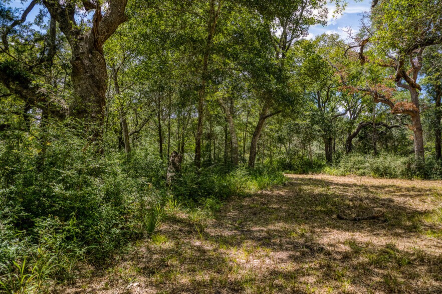 More Photos Of 3618 TX-159, La Grange Land For Sale