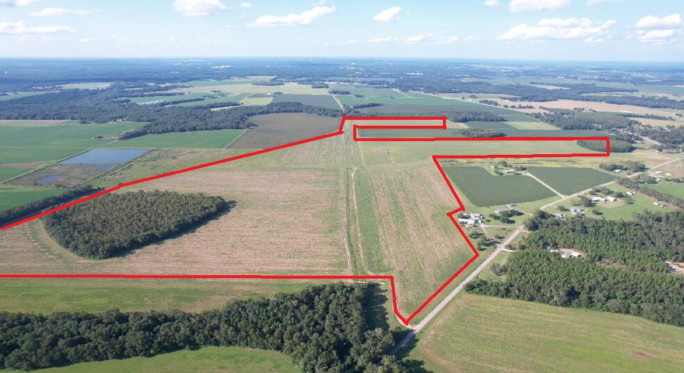 More Photos Of 5700 Pine Forest Rd, Walnut Hill Land For Sale