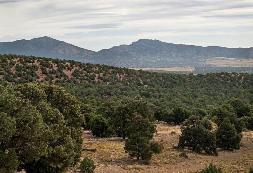 More Photos Of 23886 6450, Cedar City Specialty For Sale