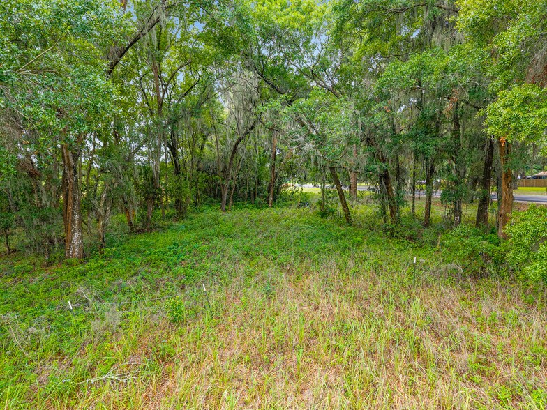 More Photos Of TBD S. Highway 301, Summerfield Land For Sale