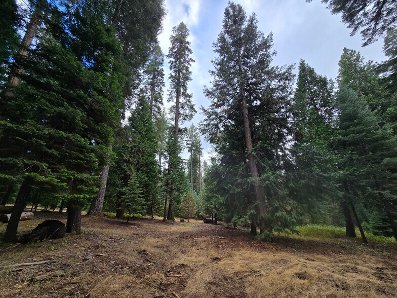 More Photos Of 1229 Blair Rd, Pollock Pines Land For Sale