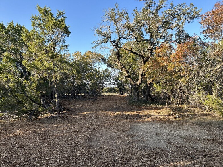 More Photos Of 301 CR 282, Liberty Hill Land For Sale
