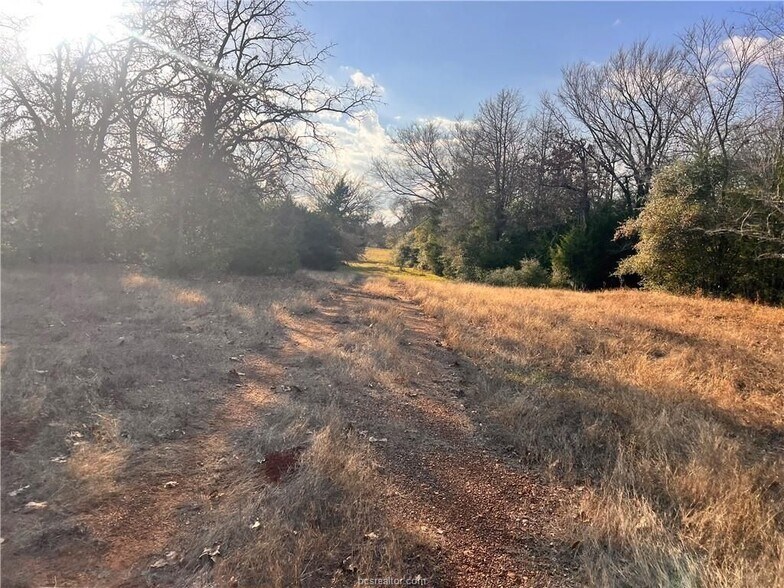 More Photos Of Fm-1469, Marquez Land For Sale