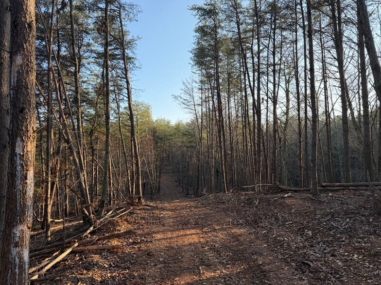 More Photos Of 260 Arnold Rd NE, Fairmount Land For Sale