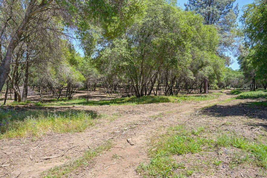 More Photos Of 10650 Werner Rd, Auburn Land For Sale