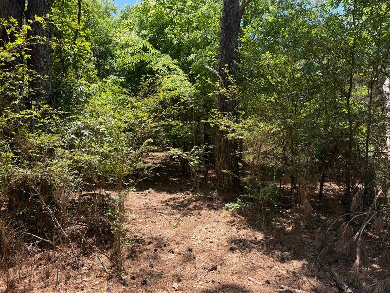 More Photos Of 1593 Old Alabama rd, Taylorsville Land For Sale