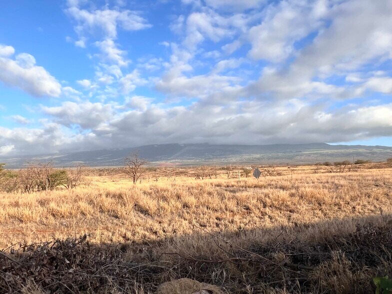 More Photos Of 1347 N Ninau St, Kihei Assisted Living For Sale