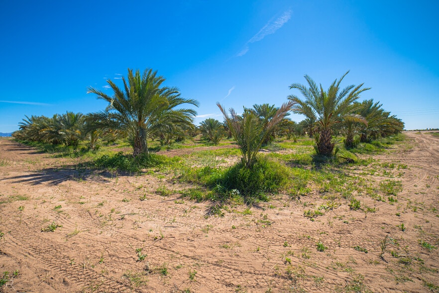 More Photos Of 17587 S Ave 3 1/2 E, Yuma Land For Sale