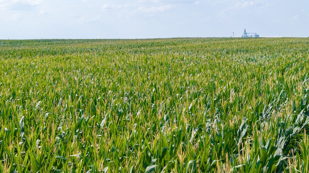 More Photos Of TBD US-271, Bogata Land For Sale