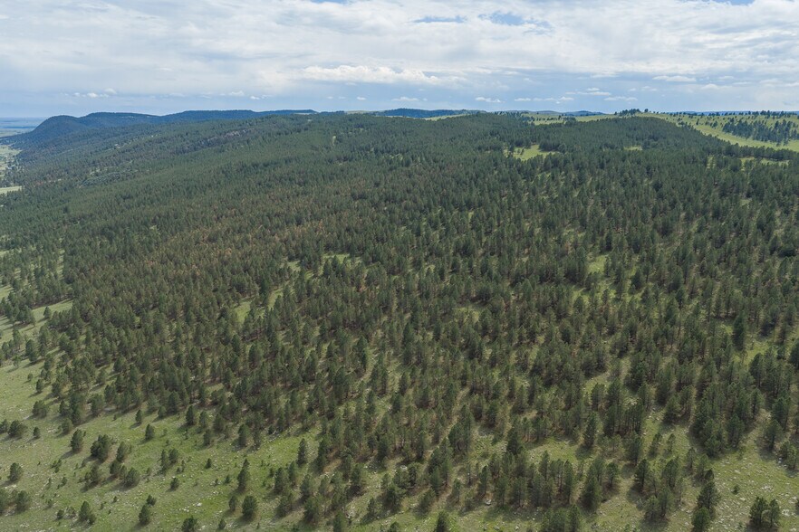 More Photos Of TBD Tatanka Spirit Rd, Buffalo Gap Land For Sale