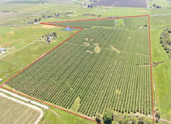 Primary Photo Of 0 Twin Cities rd, Herald Land For Sale