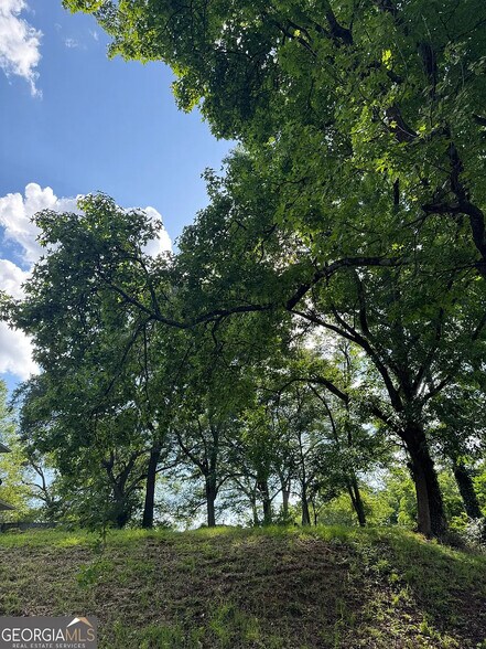 More Photos Of 89 Ericson SE st, Atlanta Land For Sale