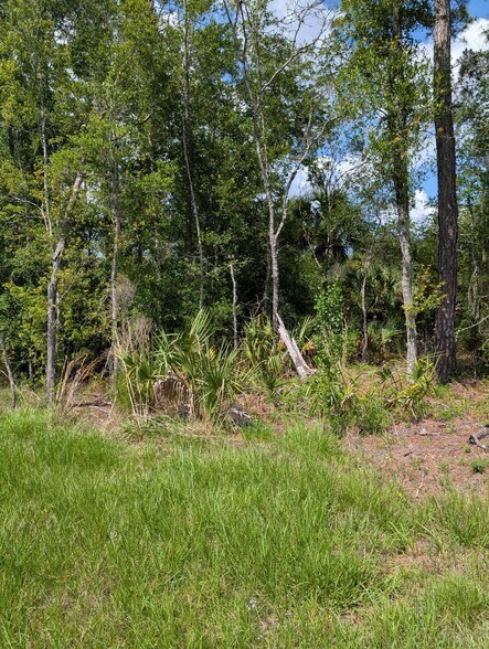 More Photos Of 5251 US-19, Crystal River Land For Sale