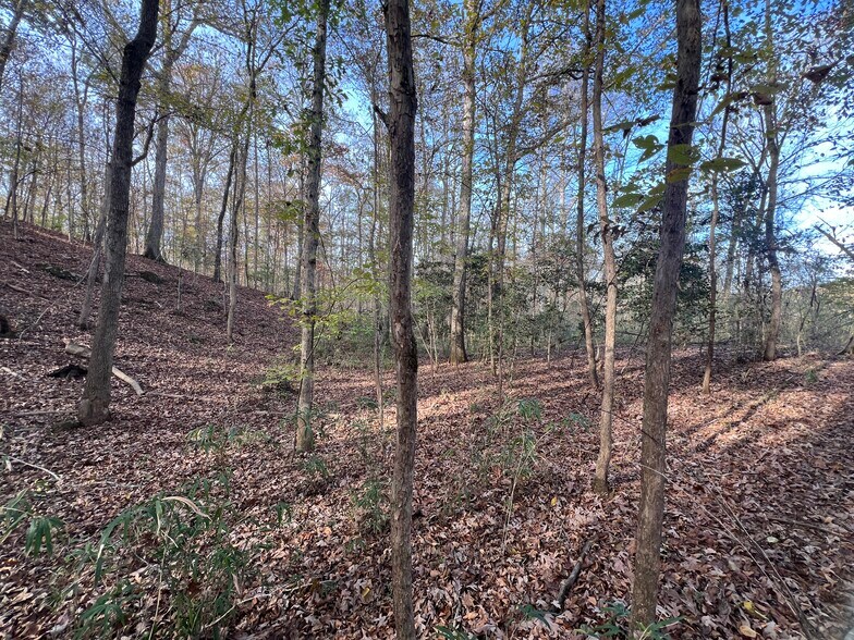 More Photos Of 0 Dickson Dr, Danielsville Land For Sale