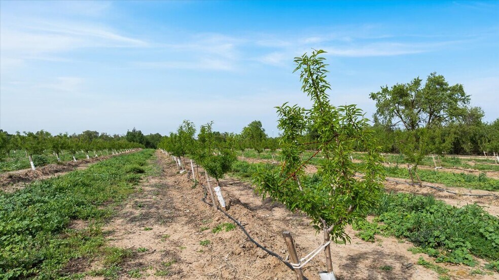 More Photos Of Albers Rd, Modesto Land For Sale