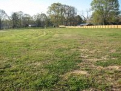 Primary Photo Of 526 HWY 61 N, Natchez Land For Sale