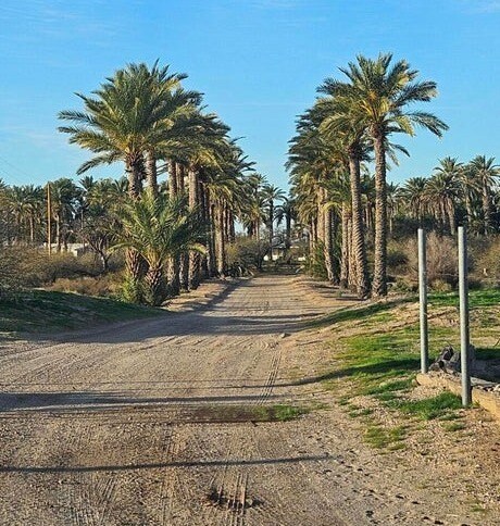 More Photos Of 10850 N Avenue 76 E, Dateland Lodge Meeting Hall For Sale