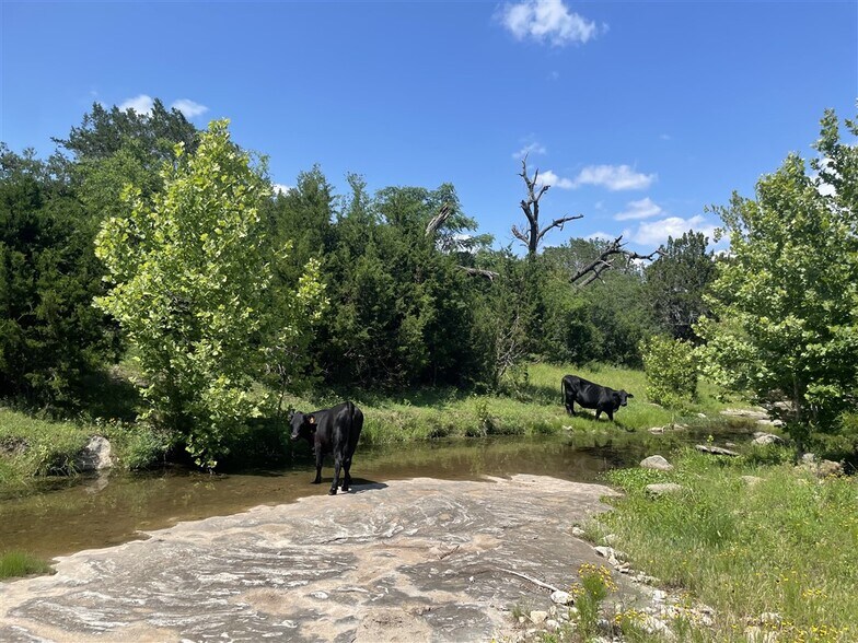 More Photos Of TBD County Road 110 c, Burnet Land For Sale