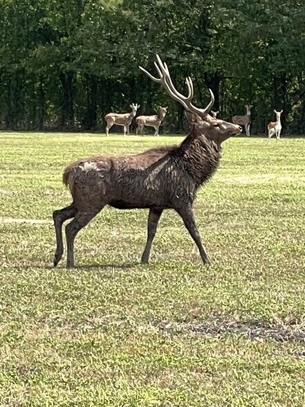 More Photos Of 11200 Sam Rayburn Hwy, Anna Land For Sale