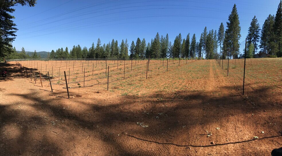 More Photos Of 14762 Wabash Ave, Grass Valley Winery Vineyard For Sale