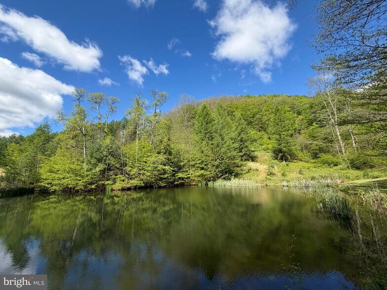 More Photos Of 1226-1227 Cross Fork Creek Rd, Cross Fork Land For Sale