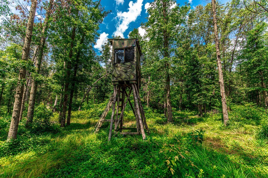 More Photos Of 579 800 N, Wheatfield Land For Sale