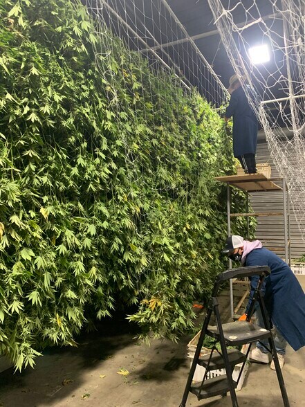 More Photos Of 26800 Encinal Rd, Salinas Manufacturing For Lease