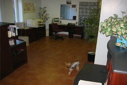 More Photos Of 28 Brandywine Dr, Deer Park Manufacturing For Sale