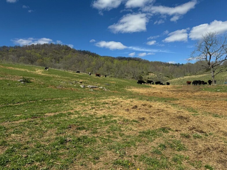 More Photos Of Lucrative Business Property, Jonesville Land For Sale