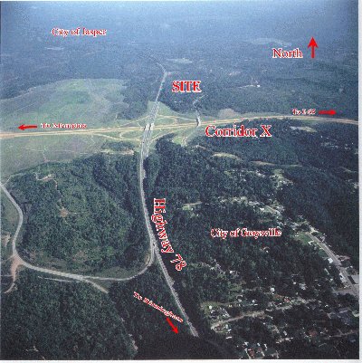 Primary Photo Of Highway 78, Adamsville Land For Sale