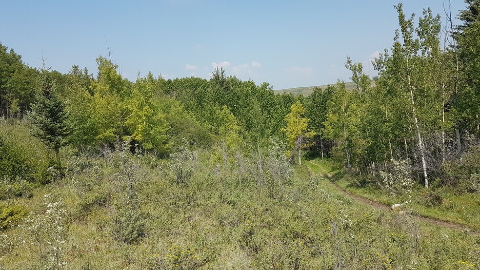More Photos Of 1 Bow River, Rocky View No 44 Land For Sale