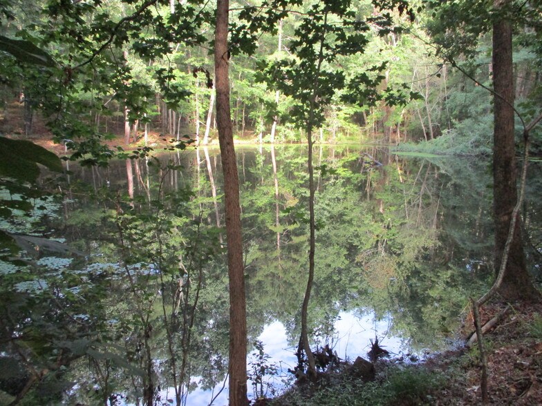 More Photos Of 3699 Evans Mill Rd, Lithonia Land For Sale