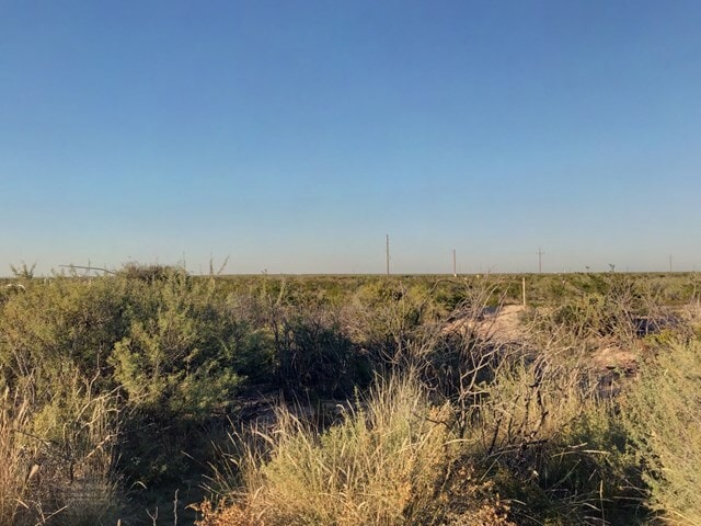 Primary Photo Of 10 Acres County Road 2545, Coyanosa Land For Sale