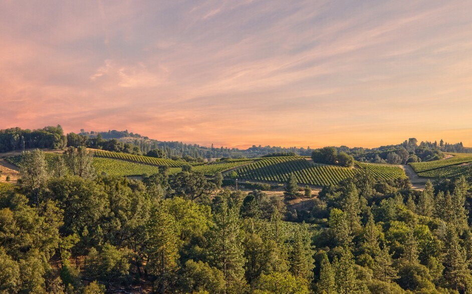 More Photos Of 5200 Di Arie Road Rd, Mount Aukum Land For Sale