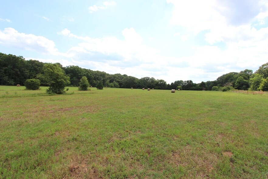 More Photos Of 278 Highway 64 E, Conway Land For Sale