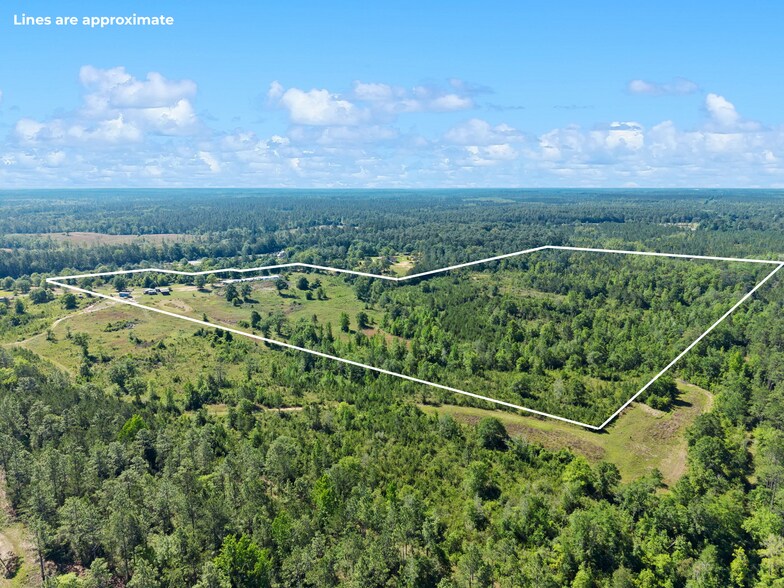 More Photos Of 39207 State Highway 59, Bay Minette Land For Sale