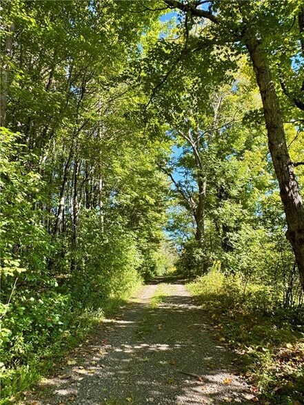 More Photos Of 175 Hovick Rd, Hartwick Land For Sale