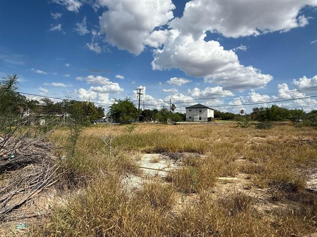 More Photos Of Canada & O'Kane, Laredo Land For Sale