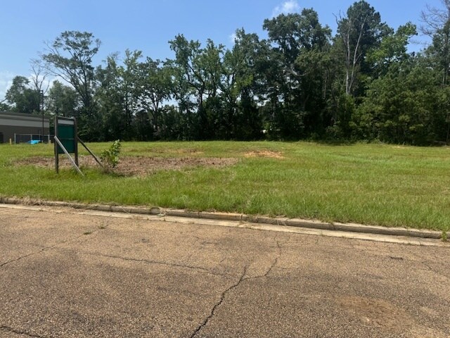 Primary Photo Of Parklane Rd, Mccomb Land For Sale