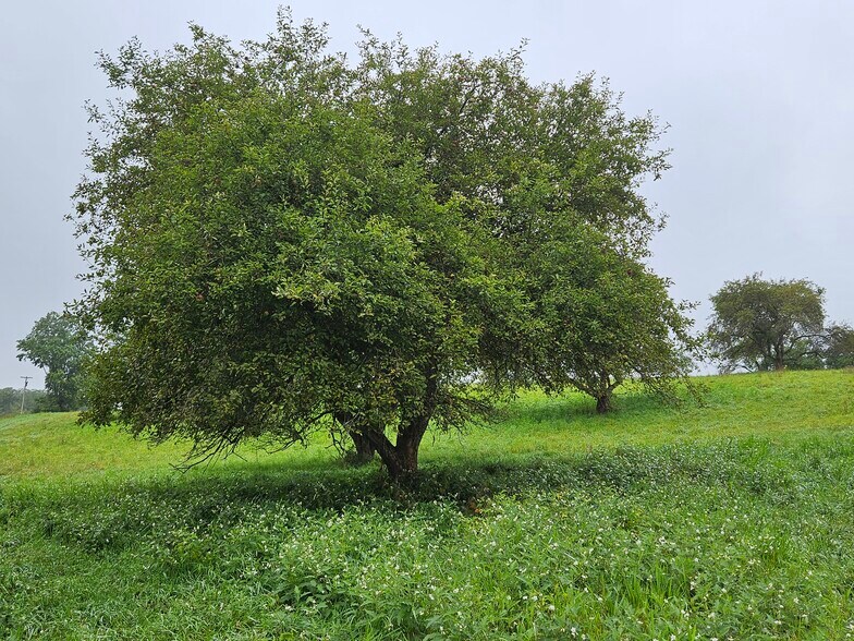 More Photos Of 3922 Kortwright Rd, Jamestown Warehouse For Sale