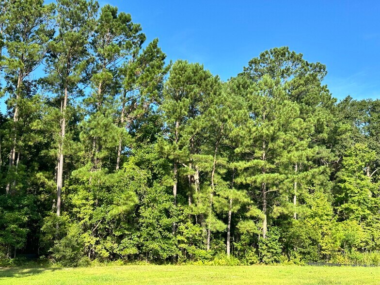 More Photos Of 5C N Okatie Hwy, Okatie Land For Sale