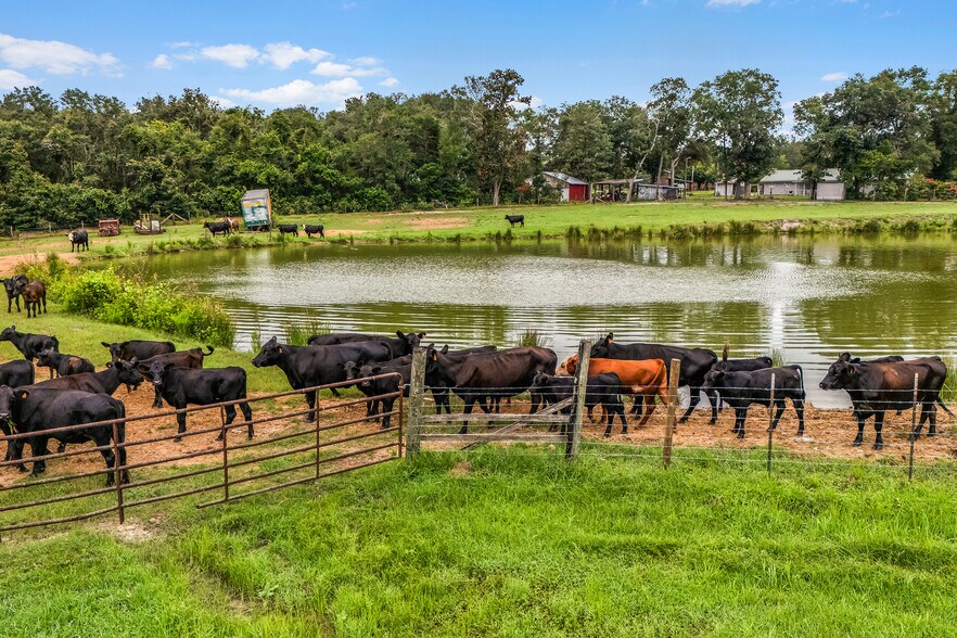 More Photos Of 1110 US Highway 280 W, Reidsville Specialty For Sale