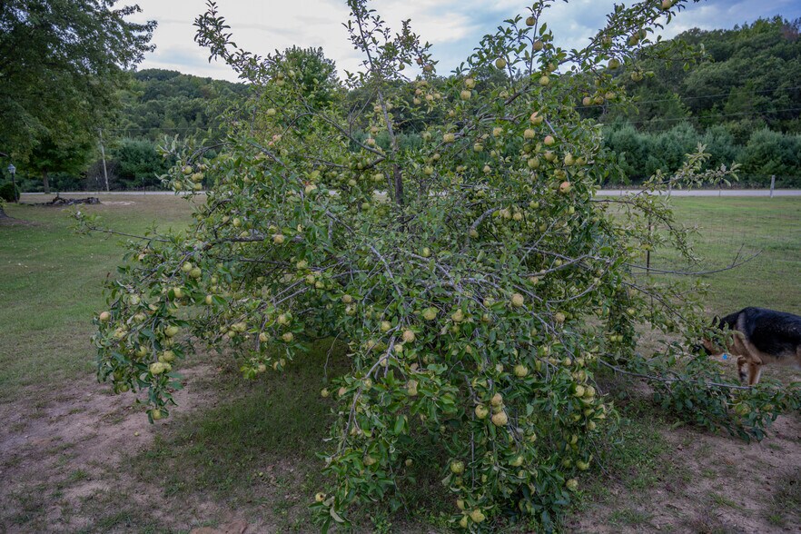 More Photos Of 8838 County Highway I, Sparta General Retail For Sale