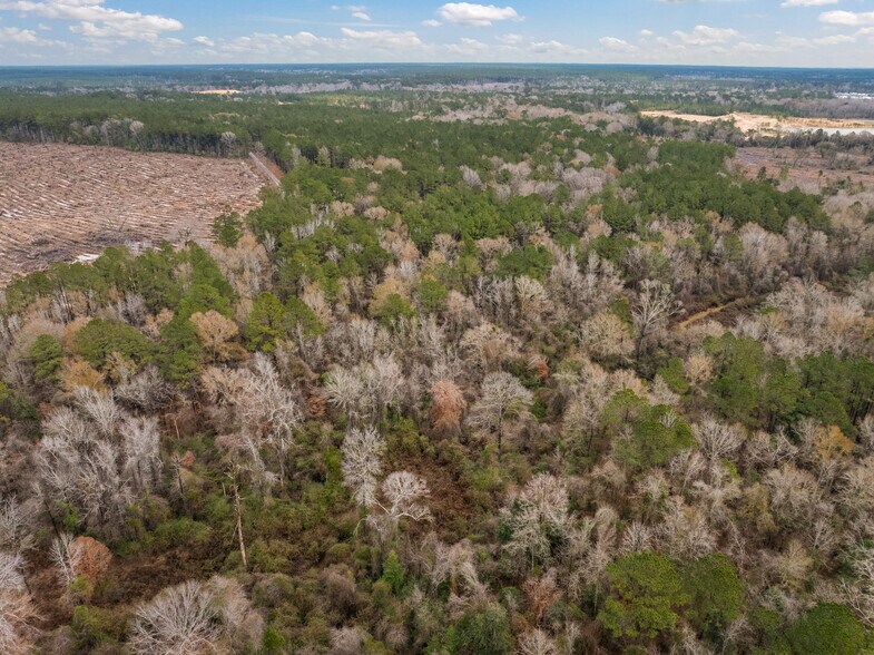 More Photos Of TBD 25 acres Tatoo Road, Glenmora Land For Sale