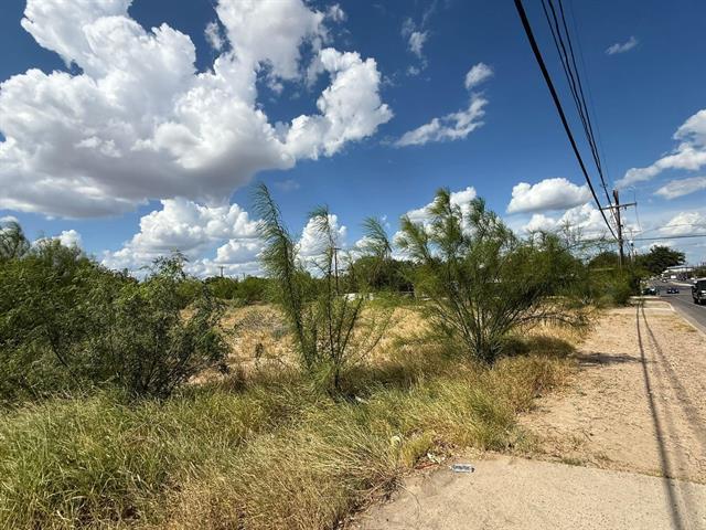 More Photos Of Canada & O'Kane, Laredo Land For Sale