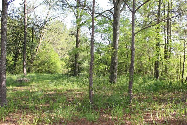 Primary Photo Of 1374 Co 490 Rd, Cullman Land For Sale