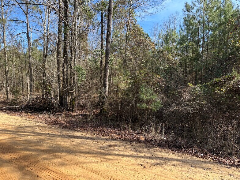 More Photos Of 184 Young Rd, Milledgeville Land For Sale