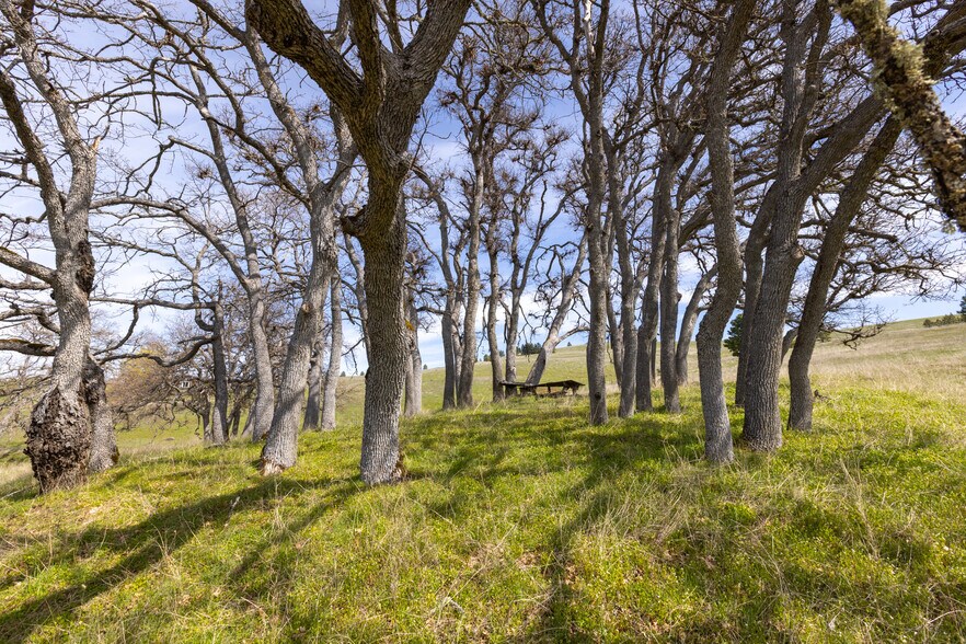 More Photos Of 60 Hartwig Road, Lyle Land For Sale