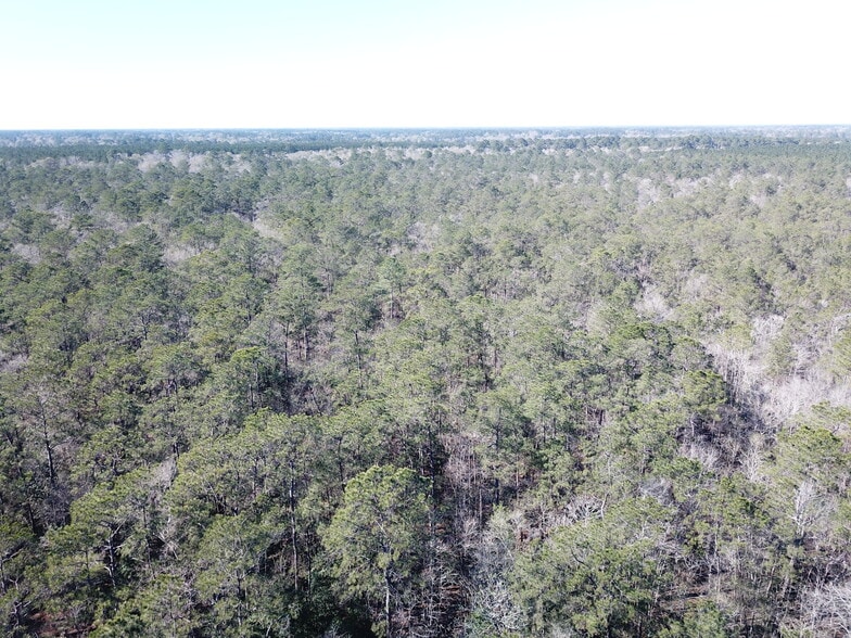 More Photos Of Corrigan Road, Vidor Land For Sale